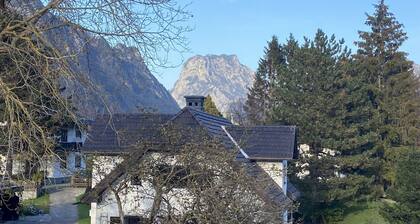 salzkammergut lake region (ebensee) - 8 pers. - pets welcome - garden - terrace