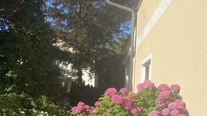A stone pathway leading to a building with a pink flowering bush in the foreground. - salzkammergut lake region (ebensee) - 8 pers. - pets welcome - garden - terrace (Ebensee)