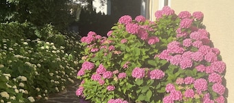 salzkammergut lake region (ebensee) - 8 pers. - pets welcome - garden - terrace