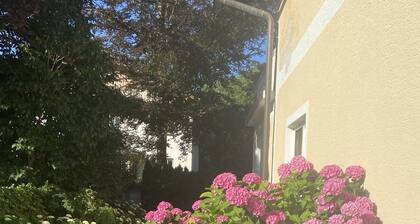 salzkammergut lake region (ebensee) - 8 pers. - pets welcome - garden - terrace