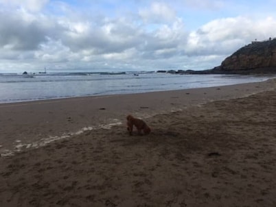 Cosy, quiet space in pretty countryside with access to fields. 20 mins to coast.