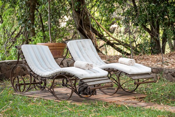 Two lounge chairs with cushions, positioned on a stone pathway surrounded by greenery.