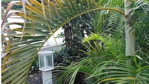 Un jardin avec différentes plantes, une lanterne blanche et un petit panneau.