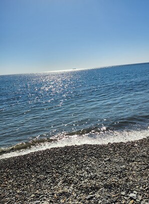 Ranta