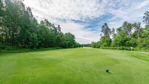 A golf course with a well-maintained green, trees, and a partly cloudy sky.