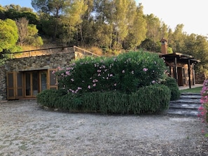 A stone building with a wooden door and windows, surrounded by a gravel path and a well-maintained bush with pink flowers.