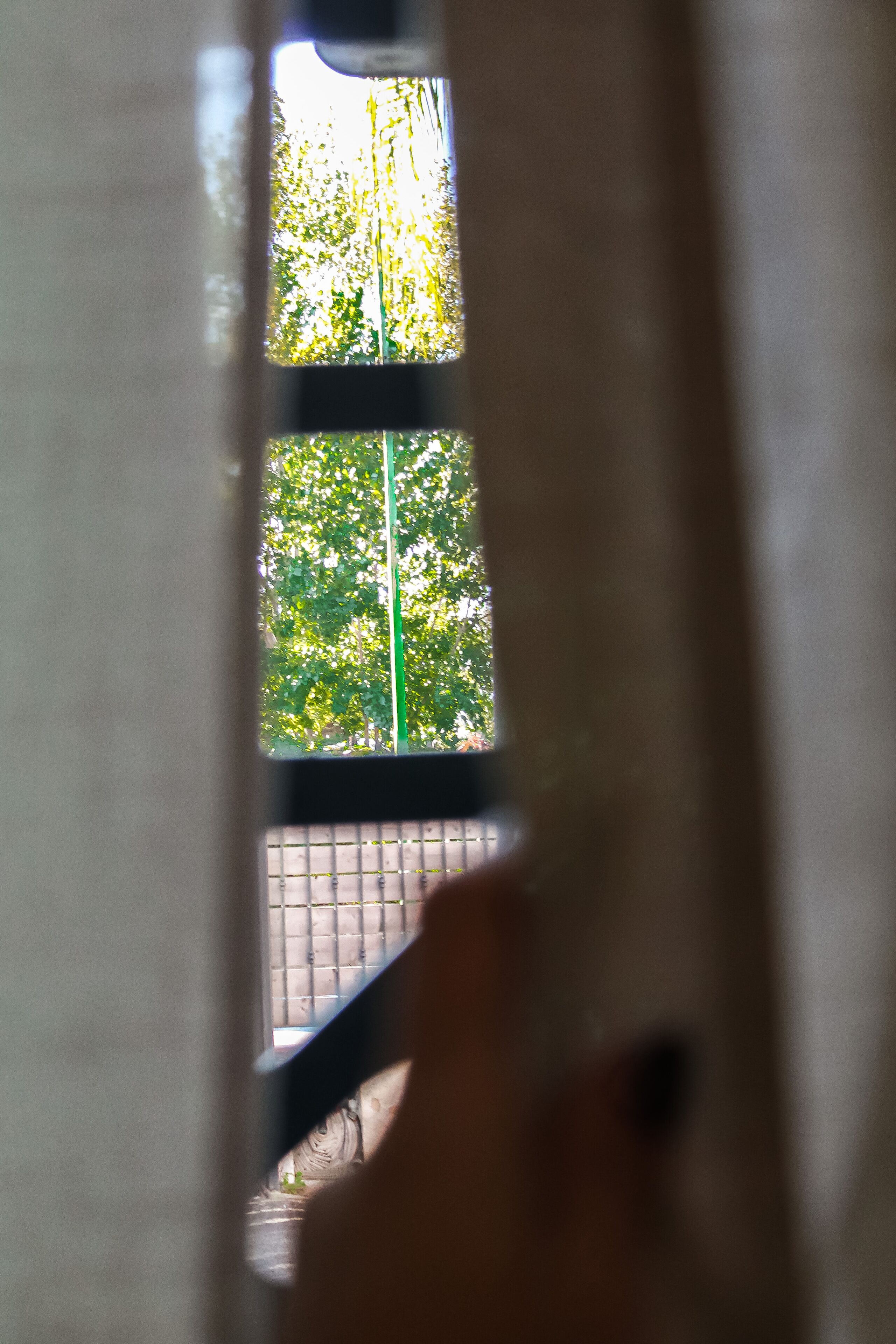 Une fenêtre donnant sur des arbres et un poteau vert à l’extérieur.