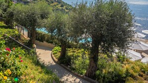 Eine Küstenstraße mit Olivenbäumen und Blick auf das Meer.