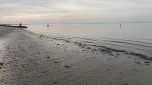 A beach with calm waters, a sandy shore, and a distant pier. -  Charming Cape Cod home, minutes to Nantucket Sound (Harwich)