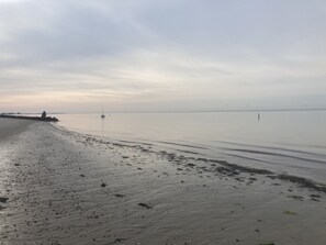 Camastros y toallas de playa 