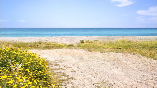 A beach with a clear sky, sandy shore, and yellow flowers in the foreground. - 2 bedroom cozy home in Torre Chianca - Lecce (Torre Chianca - Lecce)