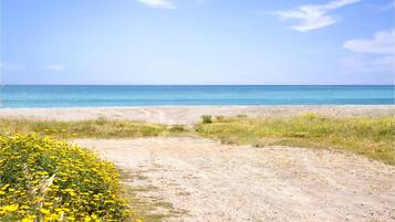 Una spiaggia nelle vicinanze