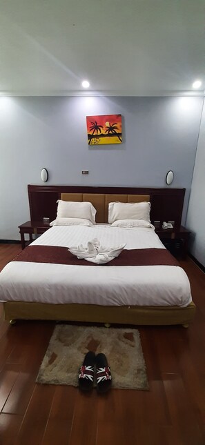 Deluxe Double Room | In-room safe, desk, laptop workspace, blackout drapes - ABAY INTERNATIONAL HOTEL (Bahir Dar)