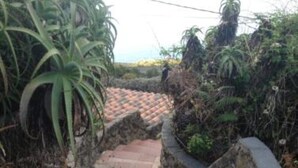Un camí de pedra que travessa un jardí amb rajoles de terracota i vegetació abundant.