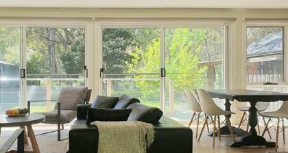 Koalas Songs: Watch Koalas and Roos right from your backyard