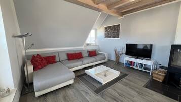 TV connectée, cheminée, livres, chaßne hi-fi