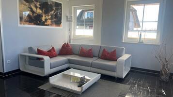 TV connectée, cheminée, lecteur de DVD, livres