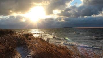 In Strandnähe, Liegestühle