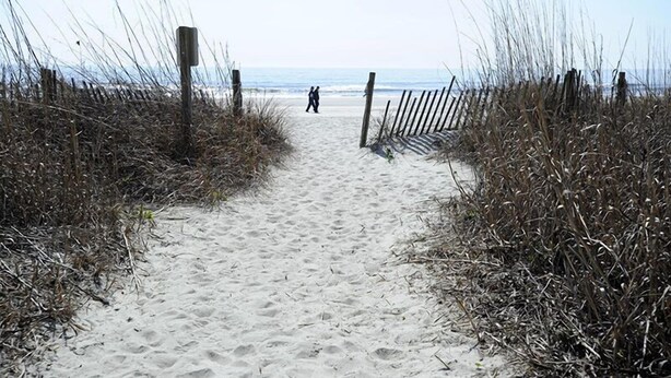 A sandy beach path leading to the ocean, flanked by tall grasses and wooden fences. - A Place At The Beach #3C Short Walk to the Beach! (North Myrtle Beach)