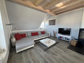 Smart TV, chimenea, libros y estéreo