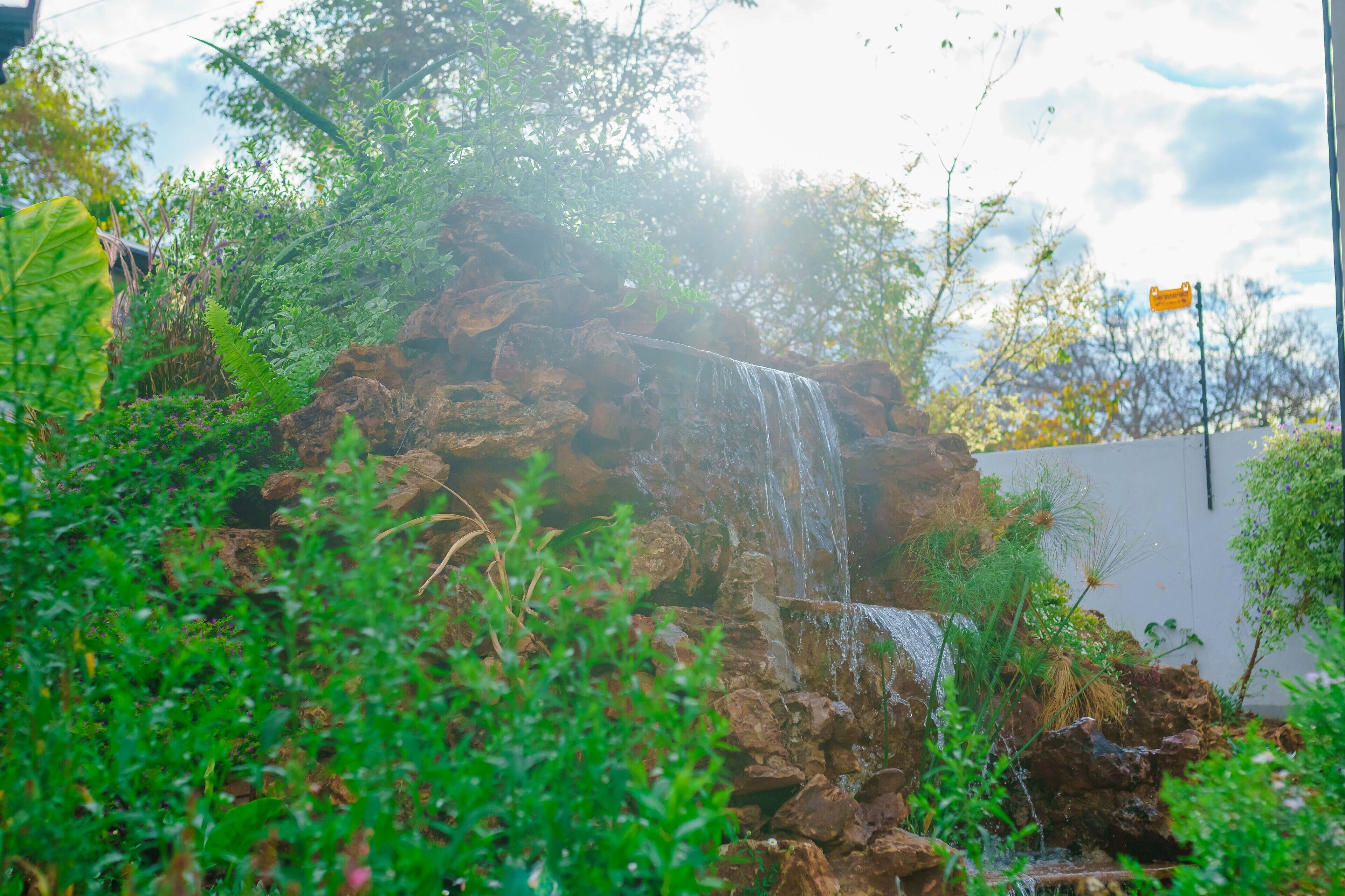 水景