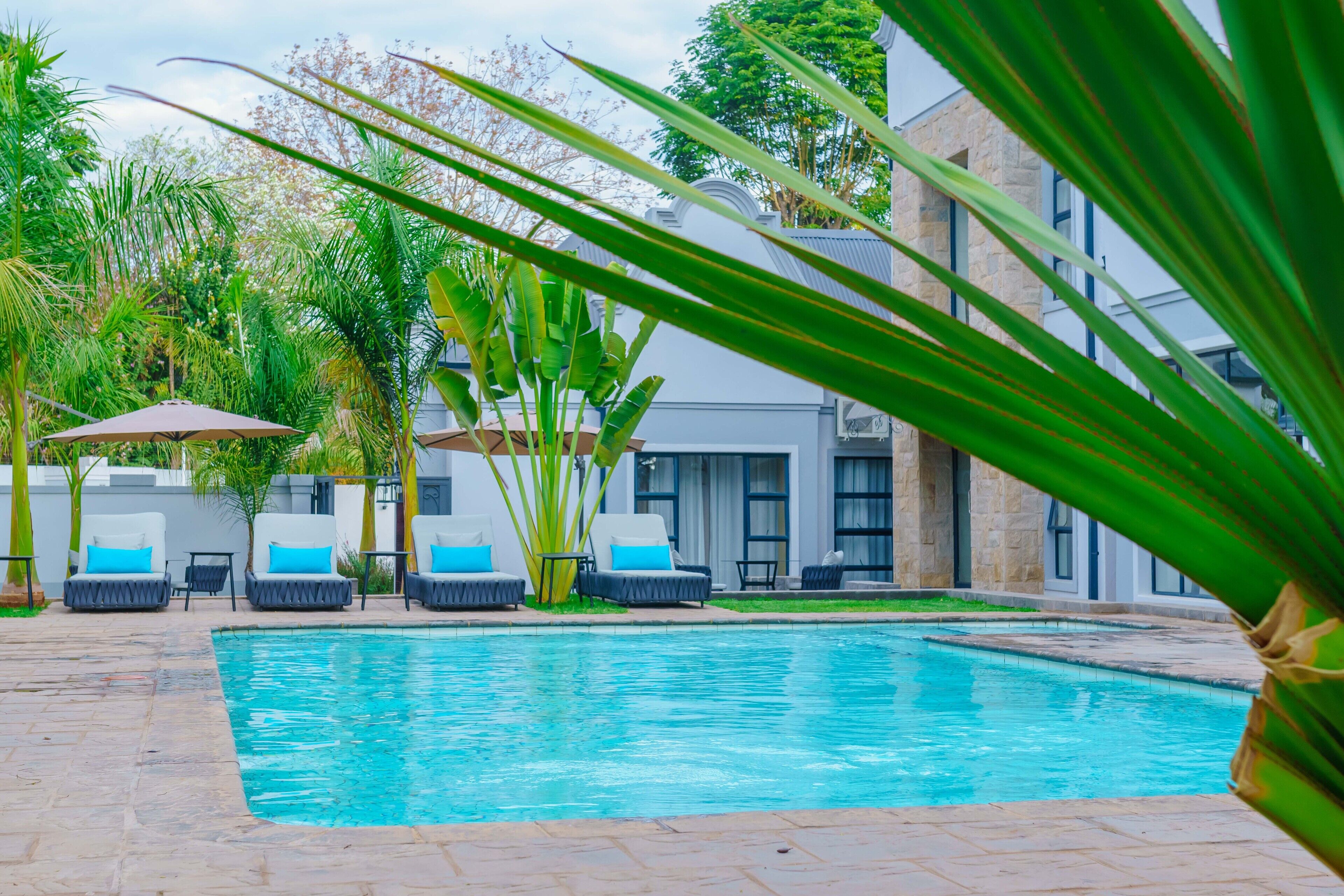 Outdoor pool, pool umbrellas, pool loungers