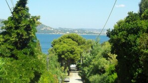 A narrow road flanked by lush greenery and a clear view of the sea.