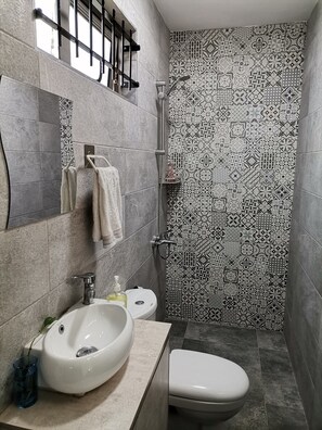 Ducha, secador de pelo, toallas y papel higiénico