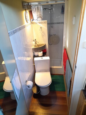 A compact bathroom with a toilet, sink, and shower. - Boat with a view in center of Amsterdam (Amsterdam)