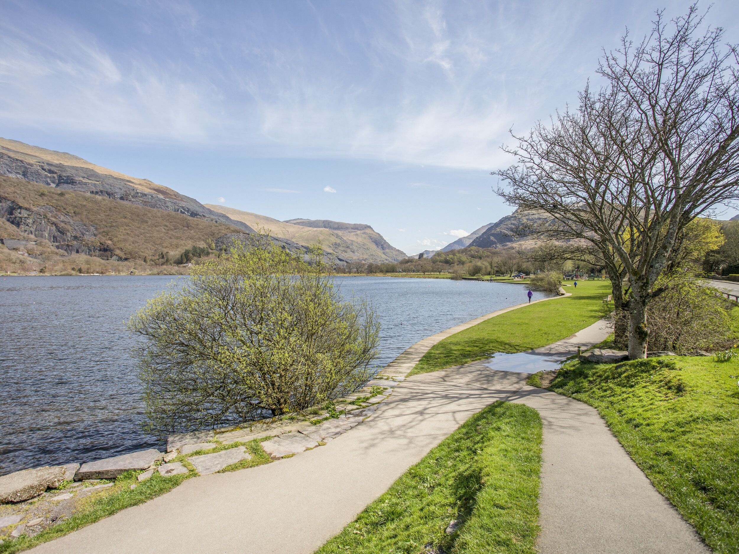 A lakeside path with a stone border, grassy areas, and a tree on the right.