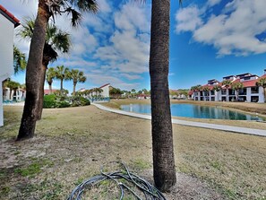 A pool area with palm trees, a pathway, and a building with a red roof in the background.