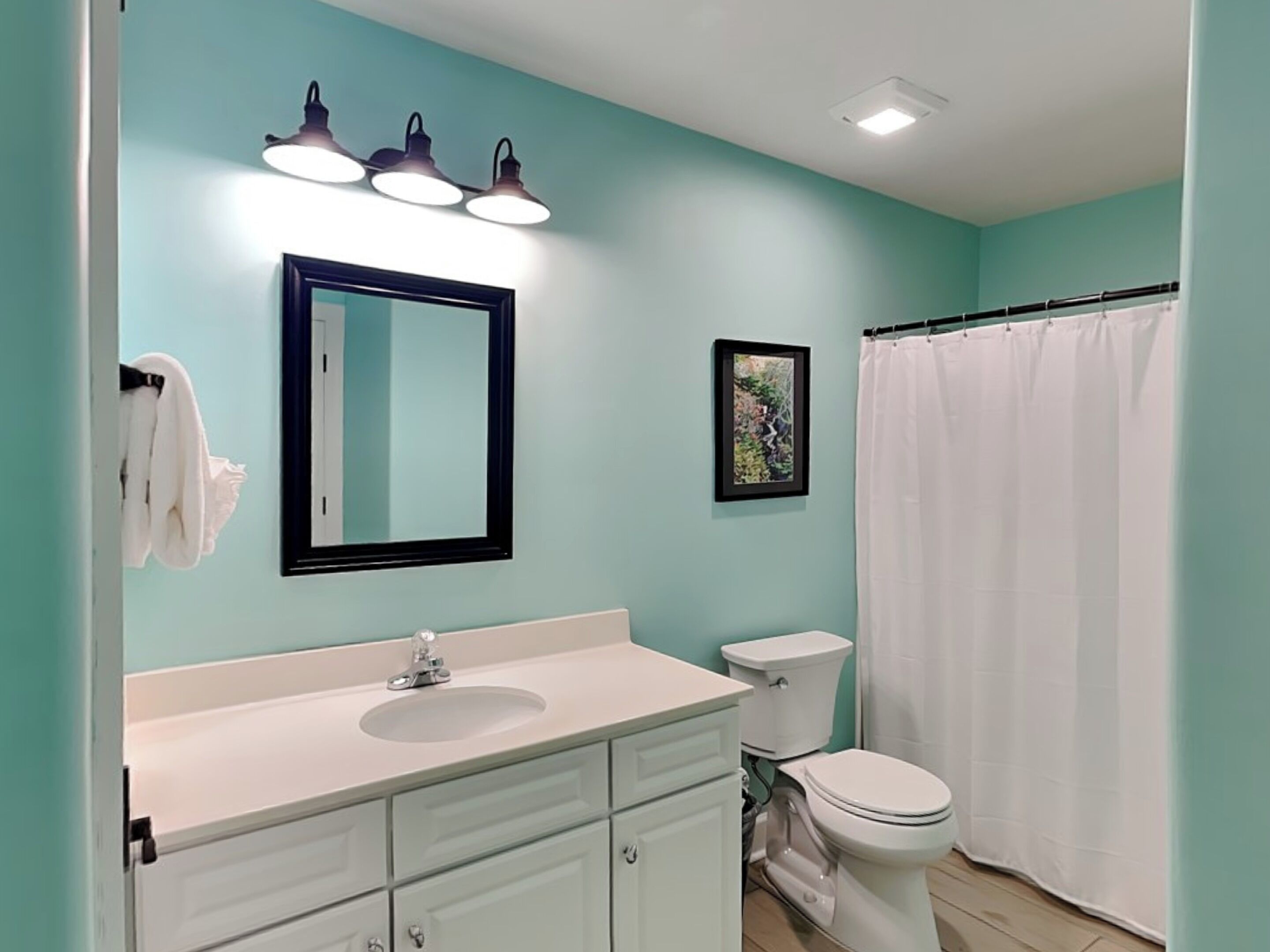 Une salle de bain avec un lavabo blanc, des toilettes et un rideau de douche blanc. Il y a un miroir au-dessus du lavabo et un tableau accroché au mur.