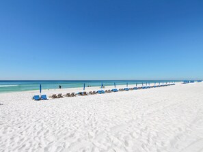 On the beach