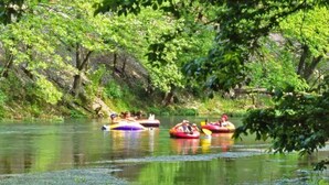 People in colorful inflatable rafts on a calm river surrounded by dense greenery. - Vacation Condo #5 2BR with full kitchen, walk to river and shops, pets welcome (Hardy)
