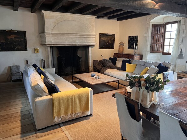 Fireplace, ping pong, books, stereo