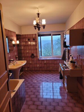 Shower, hair dryer, towels