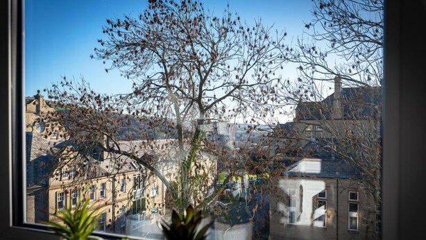 A window with a view of a cityscape, including buildings and a tree. - Apt 8 Prescott Court Halifax (Halifax)