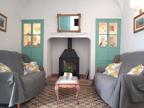 TV, fireplace, books