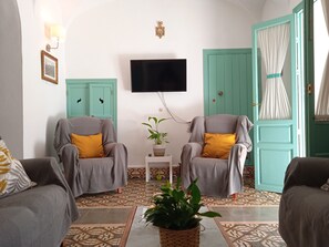 TV, fireplace, books