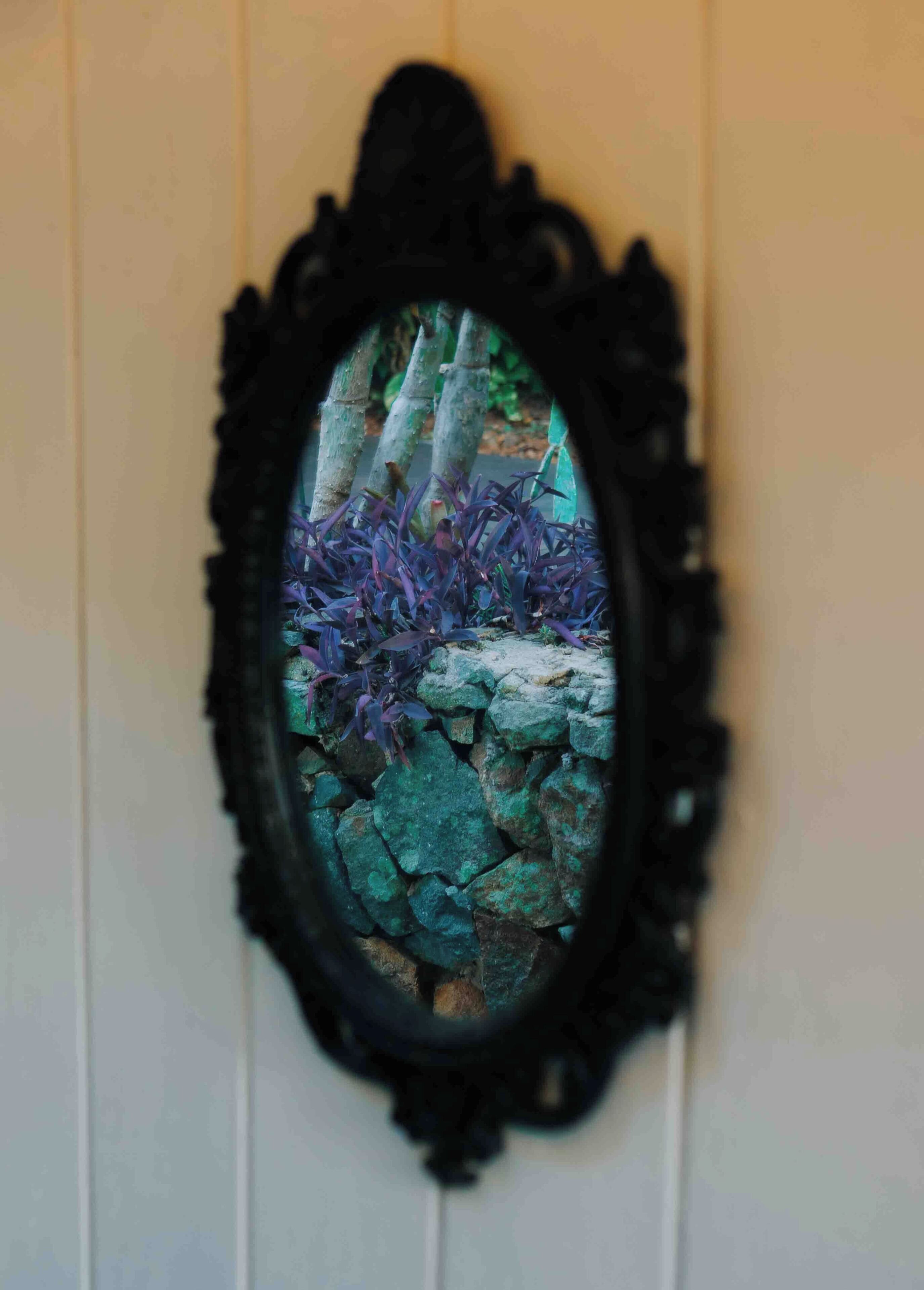 A framed view of a garden with rocks and purple foliage.
