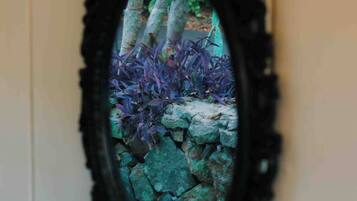 Vistall emmarcat d'un jardí amb pedres i vegetació morada.