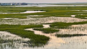 A vast marshland with water reflecting the sky, surrounded by a row of houses. - Marsh view double decker ultimate privacy off the main paths. 862 Fiddlers Ridge (Fripp Island)