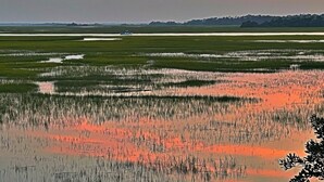 Golf - Marsh view double decker ultimate privacy off the main paths. 862 Fiddlers Ridge (Fripp Island)