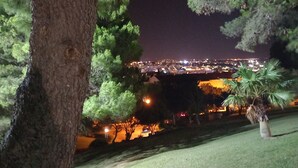 Ein nächtlicher Blick auf eine Stadtlandschaft, im Vordergrund steht ein Baum.