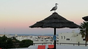 Eine Dachterrasse mit Liegestühlen, einem Reetdachschirm und einem sitzenden Möwenpaar.