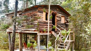 Tree House