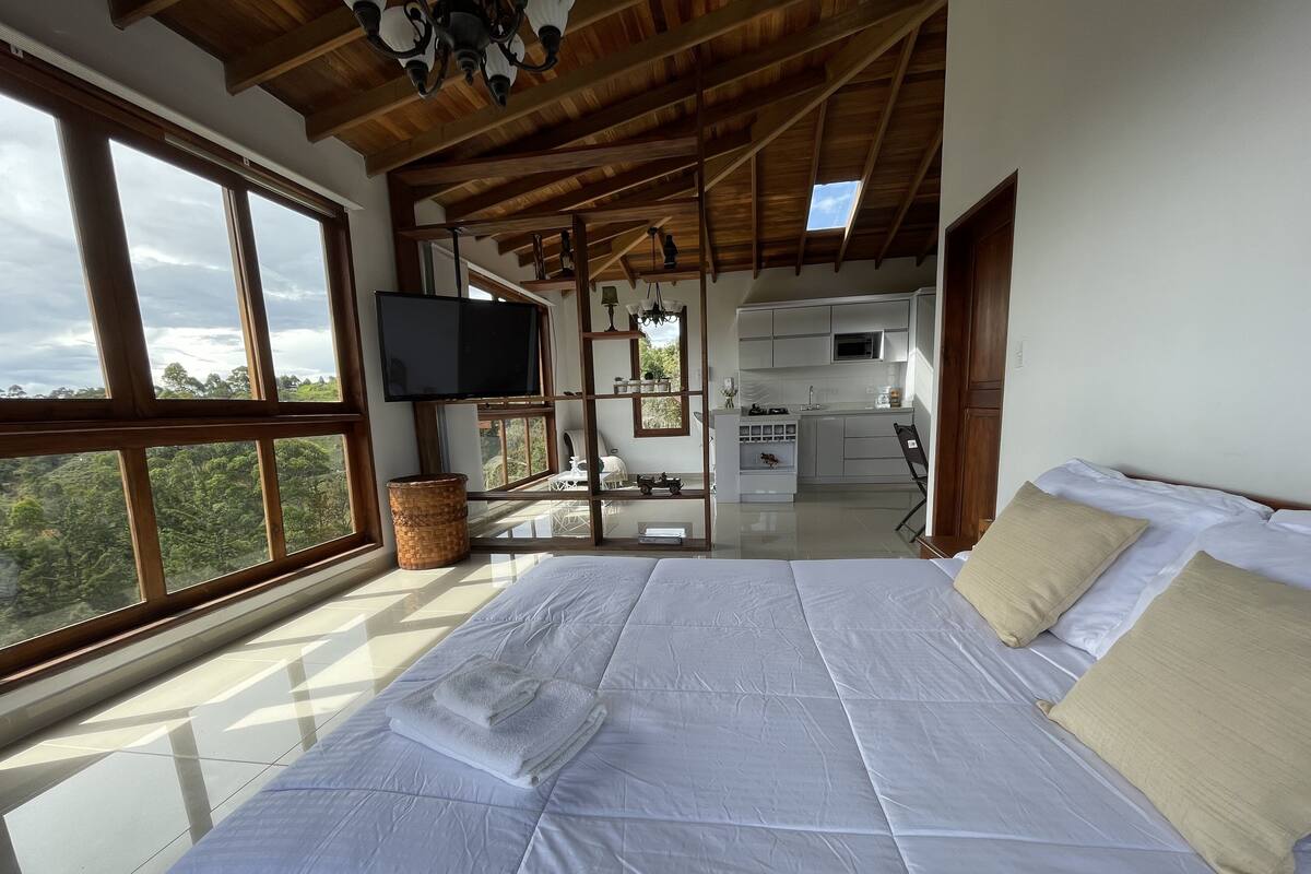 A bedroom with a large bed, a TV, and a view of the outdoors.