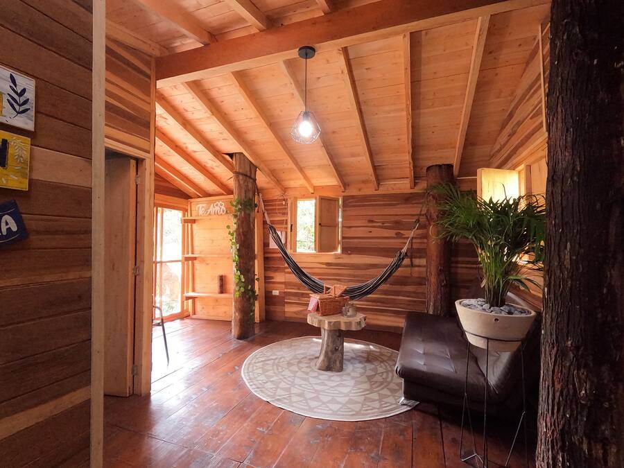 Tree House | Living area