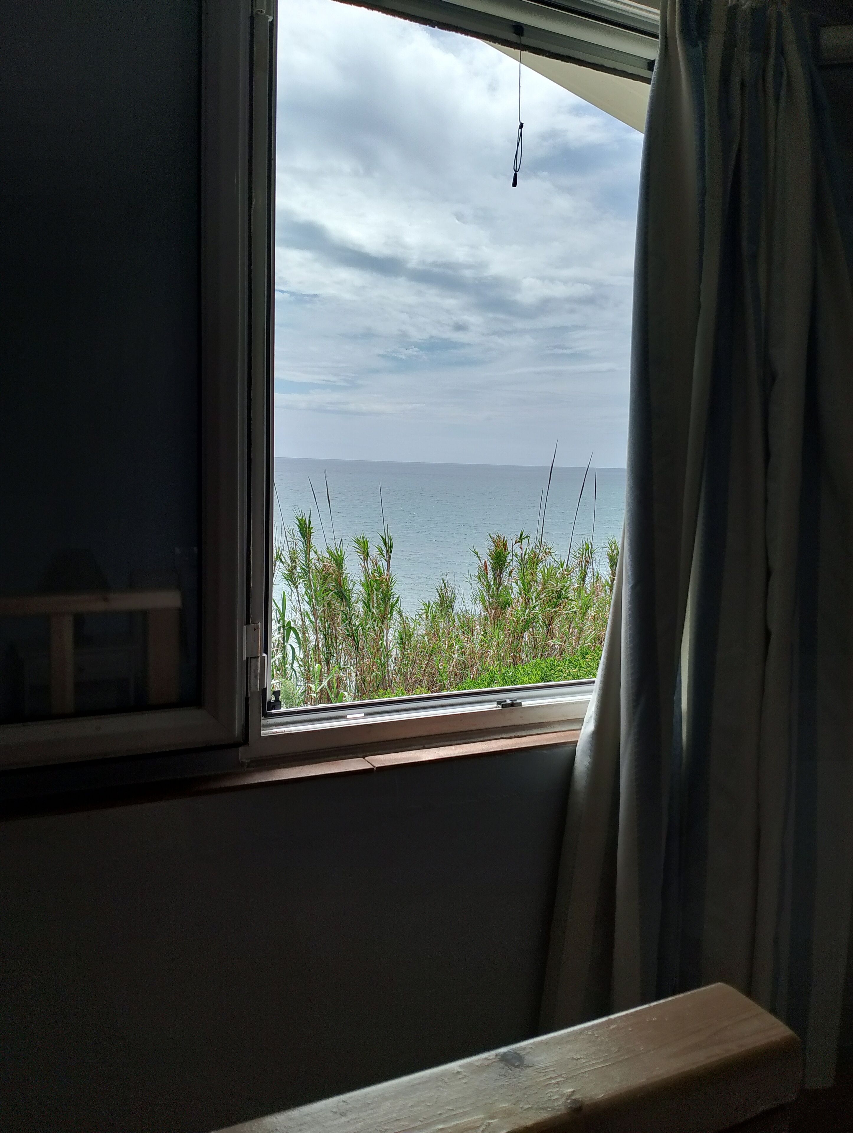 A window with a view of the sea and vegetation.