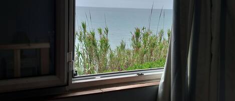 A window with a view of the sea and vegetation.